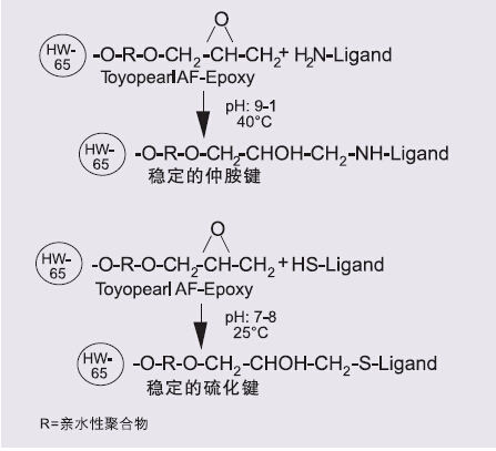 5d40f7da0c83a.png A2.png