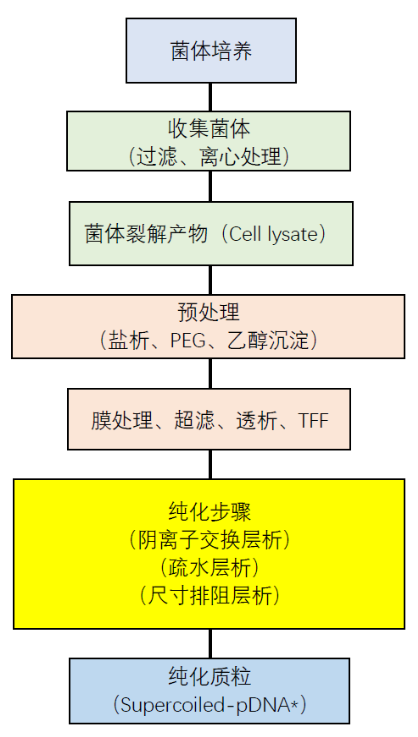 5fbccb5602d21.png 3.png