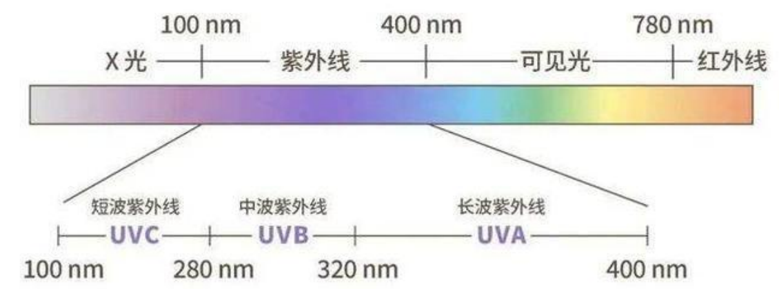 63366bab5a5a0.png 555.png