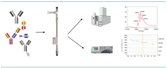 635a486773bb7.png 1111.png